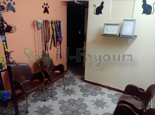 عيادة بسام البيطرية (لطب وجراحة الحيوانات الأليفه✂️💉💊)