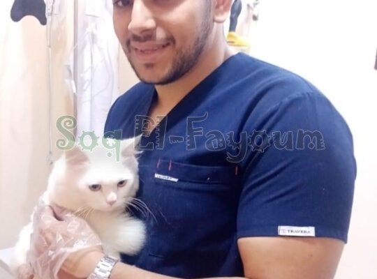 عيادة بسام البيطرية 🦮🐈